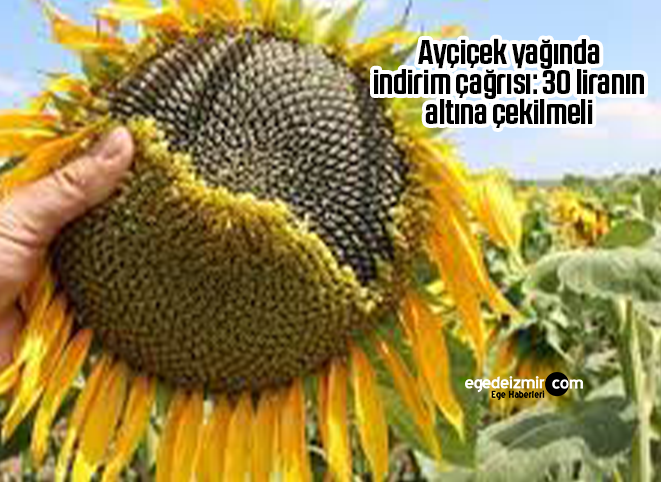 Ekran Alıntısı 30