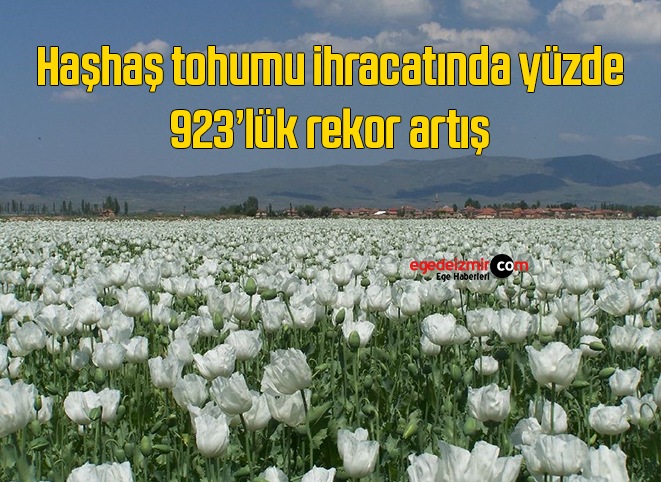 Ekran Alıntısı 7