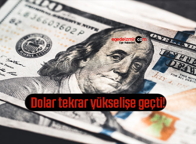 dolar123