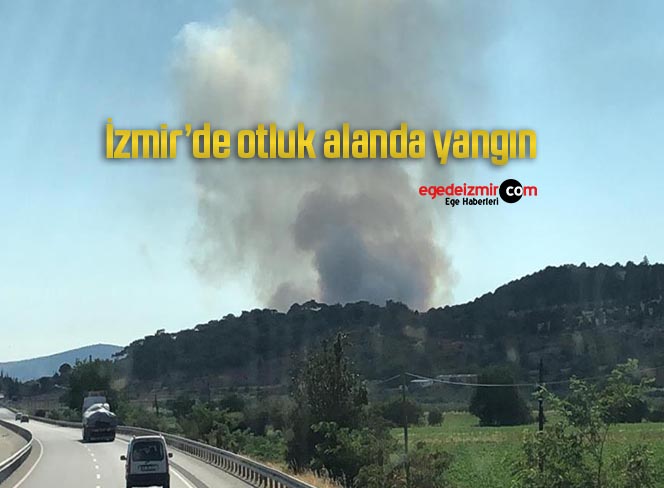 ege