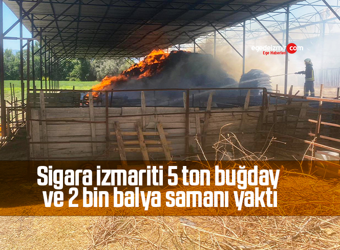 izmirtasarim