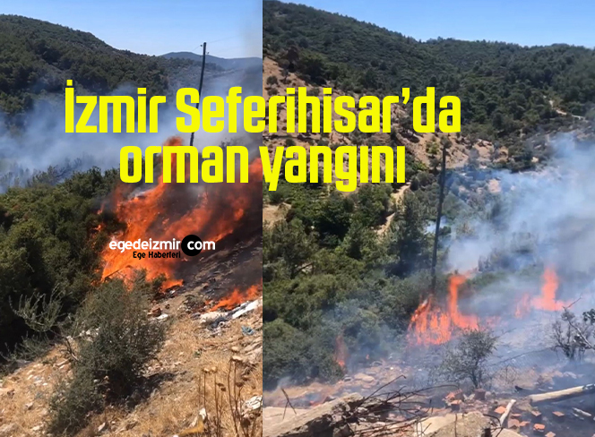 seferihisar