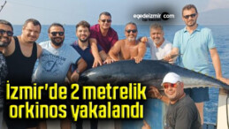 İzmir’de 2 metrelik orkinos yakalandı