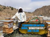 Cumhurbaşkanı için doğal ‘Şenkayam Balı’ ürettiler