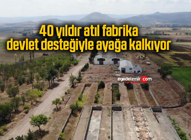 ayağa