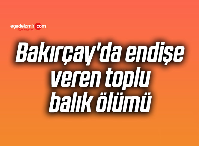 Bakırçay’da endişe veren toplu balık ölümü