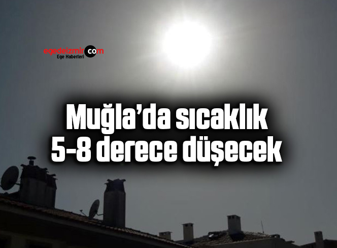 55