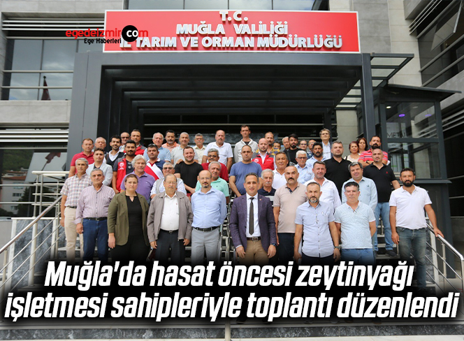 zftj