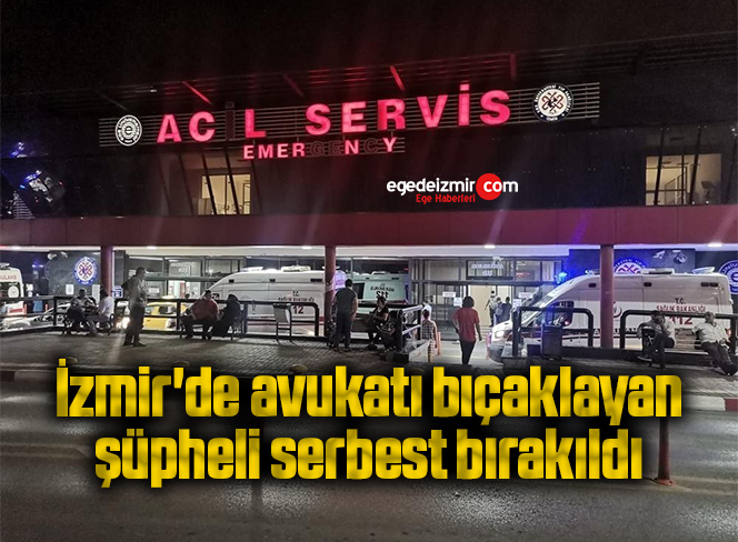 avkat