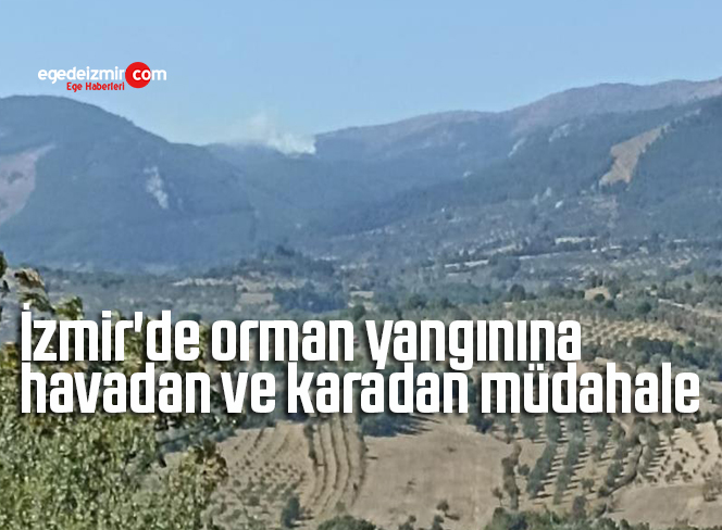 ege