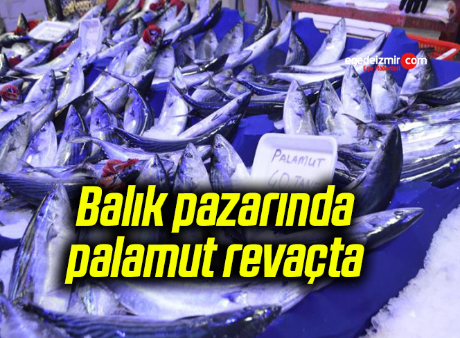 Balık pazarında palamut revaçta