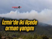 İzmir’de iki ilçede orman yangını