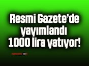 Resmi Gazete’de yayımlandı 1000 lira yatıyor!