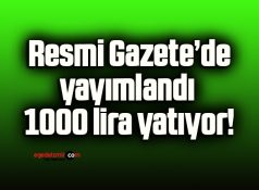 Resmi Gazete’de yayımlandı 1000 lira yatıyor!