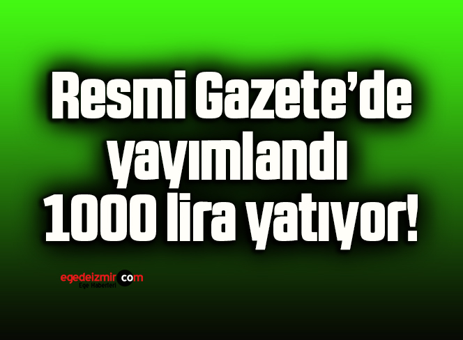 Resmi Gazete’de yayımlandı 1000 lira yatıyor!