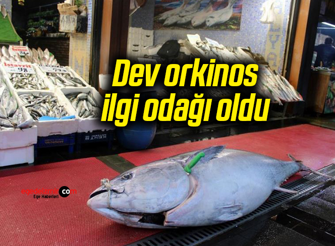 99