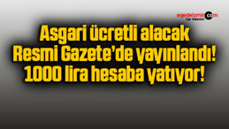 Asgari ücretli alacak Resmi Gazete’de yayınlandı! 1000 lira hesaba yatıyor!