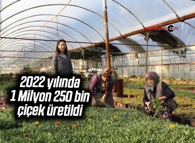 2022 yılında 1 Milyon 250 bin çiçek üretildi