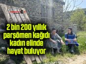2 bin 200 yıllık parşömen kağıdı, kadın elinde hayat buluyor