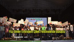 Yüz binler Emiralem Çilek Festivalinde buluştu