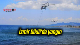 İzmir Dikili’de yangın