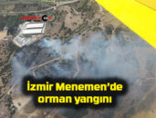 İzmir Menemen’de orman yangını