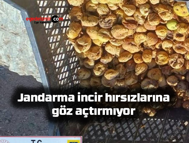 77