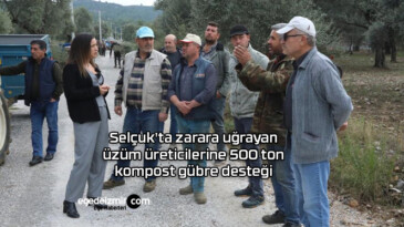 Selçuk’ta zarara uğrayan üzüm üreticilerine 500 ton kompost gübre desteği
