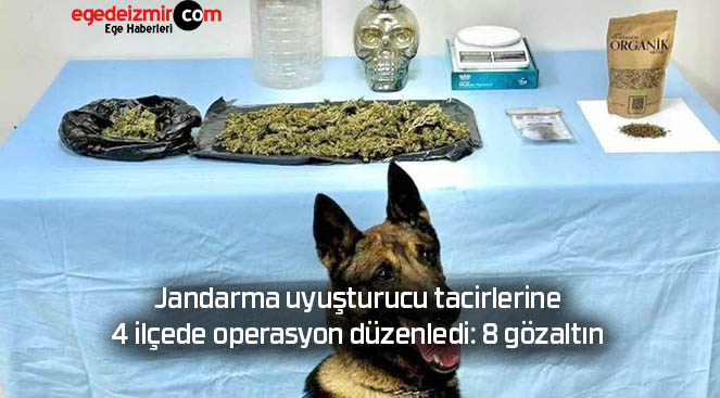 Jandarma uyuşturucu tacirlerine 4 ilçede operasyon düzenledi: 8 gözaltın