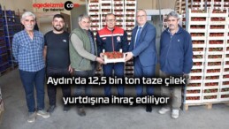 Aydın’da 12,5 bin ton taze çilek yurtdışına ihraç ediliyor