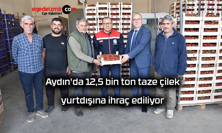 iz11