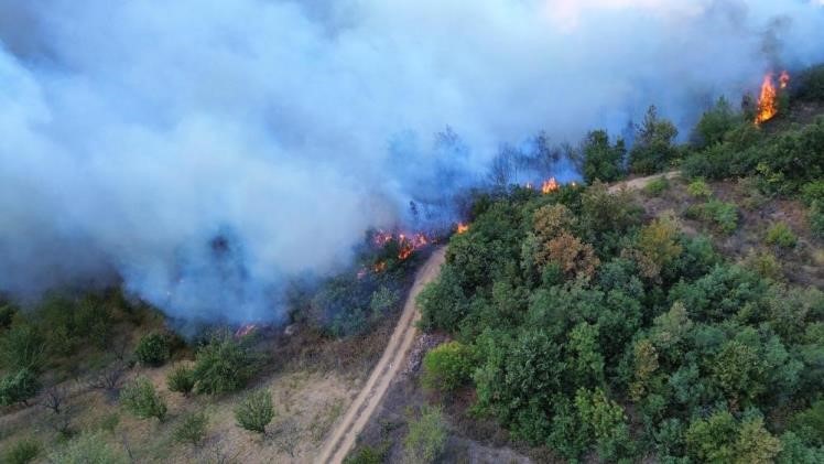 BURSA'DA ÇIKAN ORMAN YANGINI 12 SAAT SONRA KONTROL ALTINA ALINDI