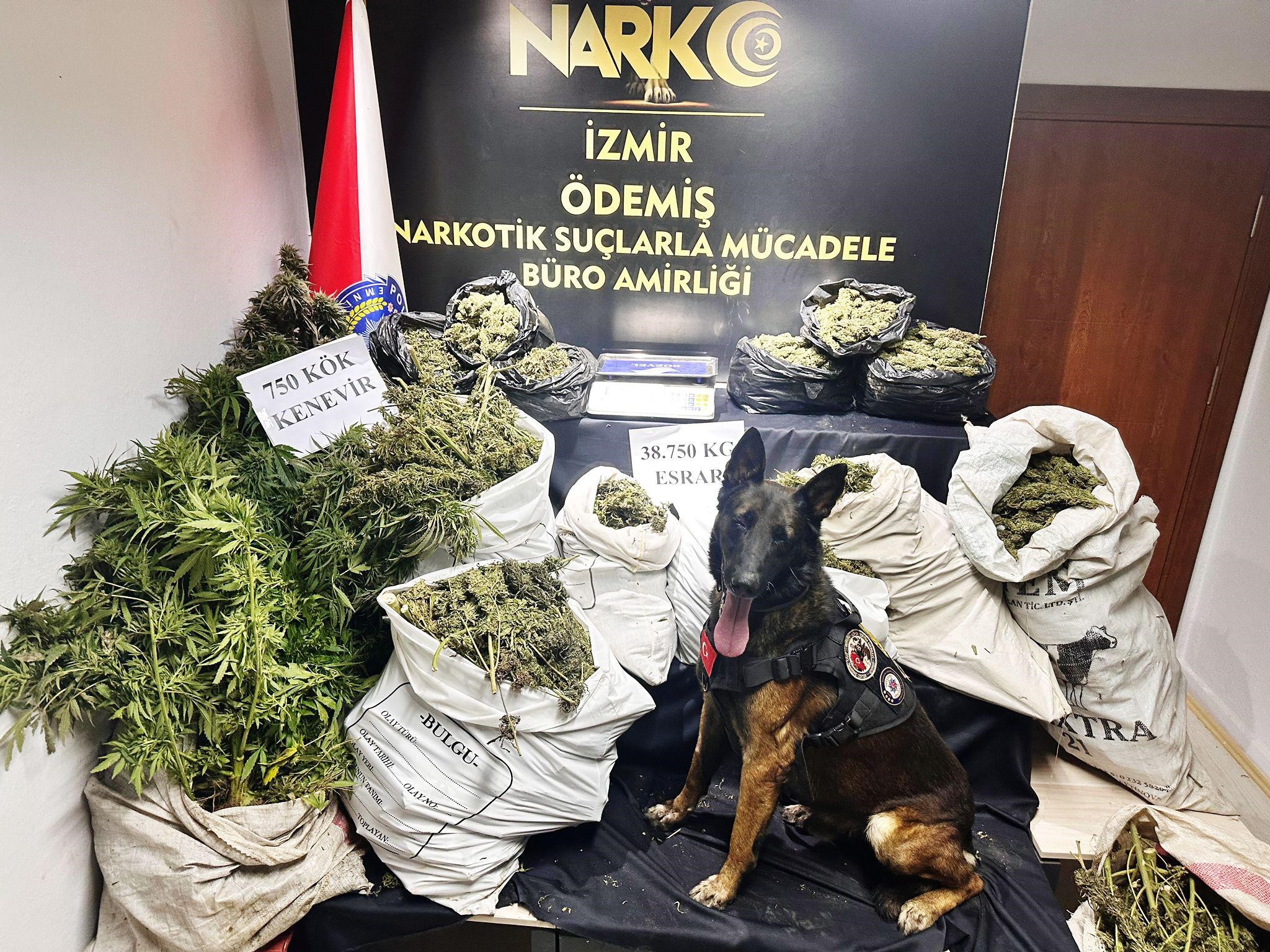 HAYVAN DAMINDA UYUŞTURUCU İMALATI VE TİCARETİNE POLİS OPERASYONU
