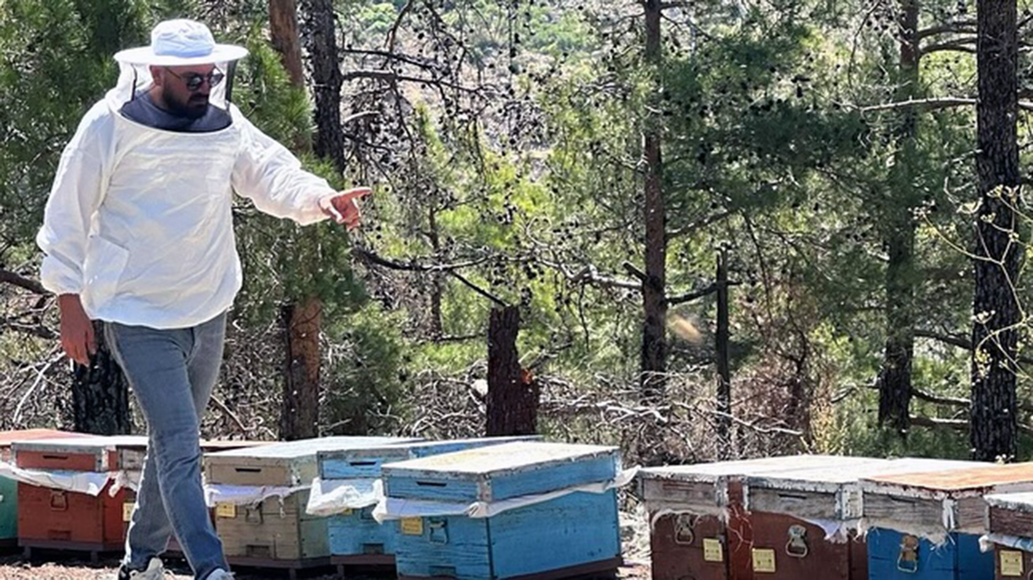 MUĞLA'DA ARILI KOVAN DESTEKLEME TESPİT ÇALIŞMASI YAPILDI