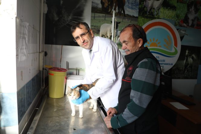 UŞAK'TA KEDİ VE KÖPEK SAHİPLERİNE MİKROÇİP UYARISI