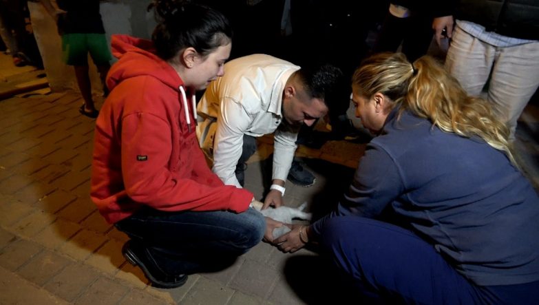ANTALYA'DAKİ YANGINDA 2 KEDİ TELEF OLDU, SAHİPLERİ GÖZYAŞLARINA BOĞULDU KEDİ BİR VATANDAŞ TARAFINDAN KALP MASAJI İLE HAYATA DÖNDÜRÜLMEYE ÇALIŞILSA DA KURTARILAMADI
