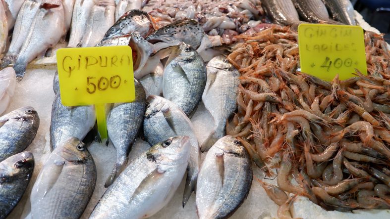 FOÇA BALIK HALİ'NDE KIŞ SEZONU:"SARDALYA VE USKUMRU ZAMANI"