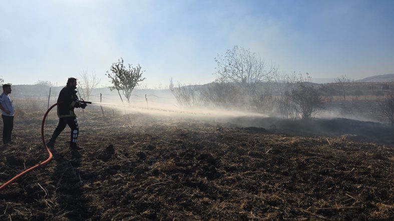 TARLADA ÇIKAN YANGIN SÖNDÜRÜLDÜ