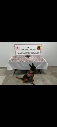 ŞANLIURFA'DA UYUŞTURUCU OPERASYONU: 2 GÖZALTI
