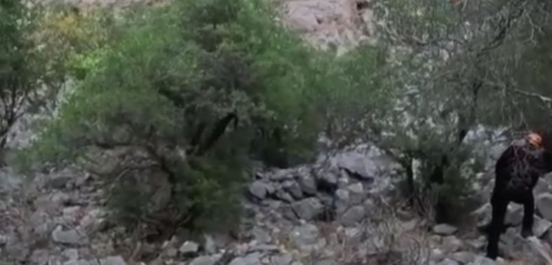 Ekran Alıntısı