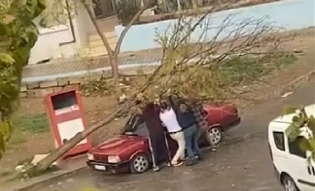 İZMİR'DE PARK HALİNDEKİ OTOMOBİLİN ÜZERİNE AĞAÇ DEVRİLDİ