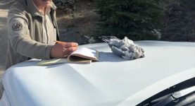 BURDUR'DA KAÇAK AVCILAR EKİPLERE YAKALANDI