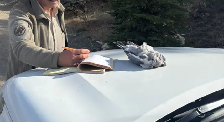 BURDUR'DA KAÇAK AVCILAR EKİPLERE YAKALANDI