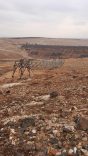 GAZİANTEP'TE ELEKTRİK DİREĞİ HIRSIZLIĞI TEKRARLANDI: 2 AYDA 3.4 MİLYON TL'LİK ZARAR GAZİANTEP'TE ELEKTRİK ALTYAPISINA SABOTAJ: 3 DİREK DAHA DEVRİLDİ, ŞÜPHELİLER ARACI BIRAKIP KAÇTI