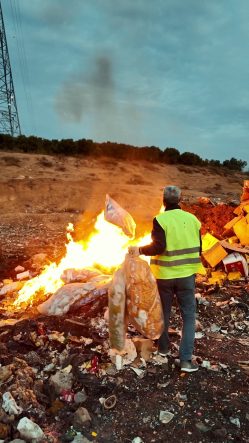 TARİHİ GEÇMİŞ ÜRÜNLERLE ÇOCUKLARI ZEHİRLEYECEKLERDİ: 2 TON CİPS, ŞEKERLEME VE ÇİKOLATA İMHA EDİLDİ