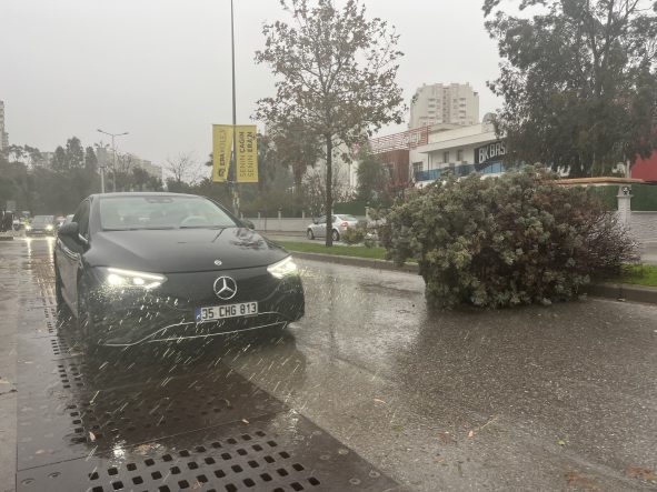 İZMİR'DE FIRTINA AĞAÇLARI DEVİRDİ: 5 ARAÇ HASAR GÖRDÜ