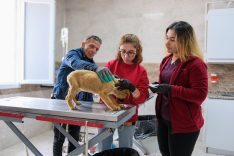 CAN DOSTLAR İÇİN MENEMEN'DE REKOR TEDAVİ SAYISINA ULAŞILDI