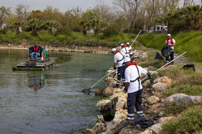 TEMİZ KÖRFEZ İÇİN GEDİZ VURGUSU İZMİR KÖRFEZİ'NDE GÖRÜLEN DENİZ MARULLARININ TEMİZLENMESİ İÇİN ÇALIŞMALAR SÜRERKEN, BİLİM İNSANLARI SORUNUN KAYNAĞININ KIYIDA DEĞİL GEDİZ HAVZASI'NDA BAŞLADIĞINI ÖNE SÜRDÜ