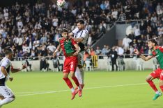 ALTAY'LA SEFA ÖZDEMİR YOL AYRIMINDA