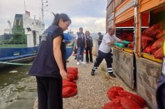 İZMİR'DE YASA DIŞI SU ÜRÜNLERİ AVCILARINA AĞIR DARBE: 7 TON KAÇAK MİDYE ELE GEÇİRİLDİ